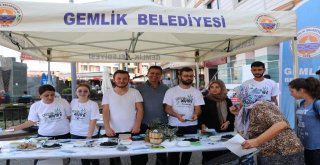 FESTİVALE ZEYTİNLİ DAVET