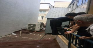 Maltepe’nin “Şanslı”sı yeniden doğdu