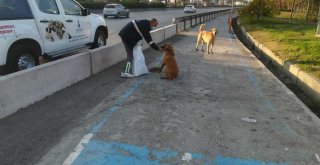 Can dostlar unutulmadı