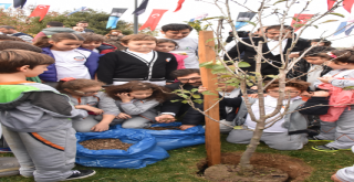 Dönüşüm Beşiktaş’ta!