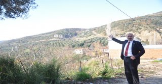 Dünya’da ilk ve tek olacak proje Mudanya’dan