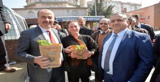 ENGİNAR MUDANYA'NIN ALTERNATİF TARIM ÜRÜNÜ OLACAK