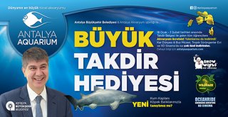 Takdir alanlar yaşadı