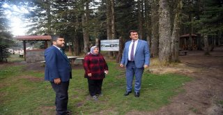 Uludağ'ın 4 Noktasına Endemik Park