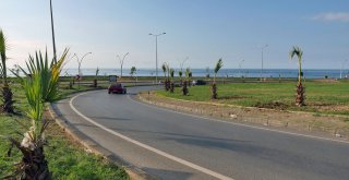 Sahile Palmiyeler Yakıştı