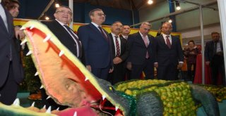 13. Mersin Tarım, Gıda Ve Hayvancılık Fuarı Açıldı