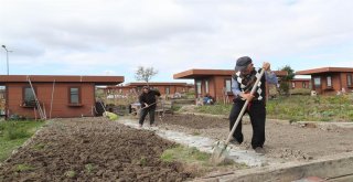Şehrin Stresinden Uzakta Sebze Meyve Yetiştiriyorlar