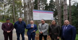Atatürk Köşkü Ormanı Koruma ve Rehabilitasyon Projesi kamuoyuna açıklandı