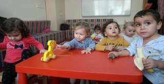 BEBEKLER ARKADAŞLARIYLA BULUŞTU