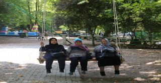 Yaşlılar şehrin güzelliklerini keşfediyor