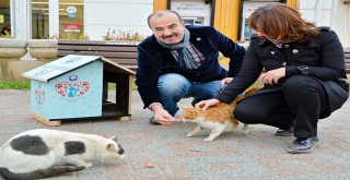 CAN DOSTLARIN SICAK YUVASI MUDANYA