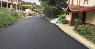 Asfaltlama çalışmaları aralıksız olarak sürdürülüyor