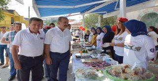 BAĞBOZUMU’NDA BARIŞ MESAJLARI VERİLDİ