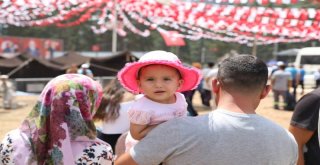 Karboğazı Şöleni Sona Erdi