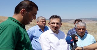 BİBER ÜRETİCİLERİ İÇİN OSB
