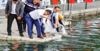 Başkent Gölleri 'Balık'  Üretecek