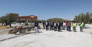 FİDANLIK PARKINDA SONA DOĞRU