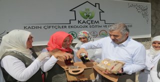 Organik Tarımda Büyükşehir Farkı