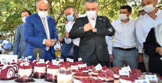 Büyükşehir destekliyor, çiftçi kazanıyor