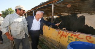 Nilüfer Kurban Bayramı’na hazır
