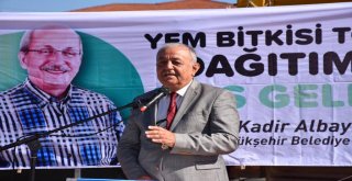 Tekirdağ Büyükşehir Belediyesi'nden Çiftçilere Yem Bitkisi Tohumu Desteği