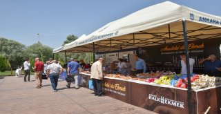 BAŞKENT’TE SAĞLIKLI VE DOĞAL BESLENME ZİRVESİ