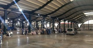 İnegöl’de Hijyenik Kurban Kesim Alanları Halkın Hizmetinde