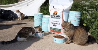 MUDANYA’DA “HAYAT PAYLAŞINCA GÜZEL”