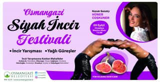 Osmangazi'de Siyah İncirler Yarışacak