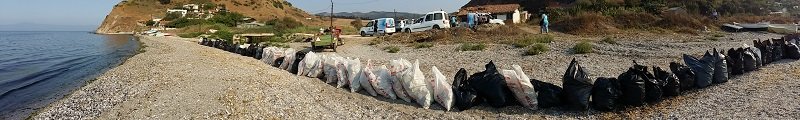 ZEYTİNDALI EKİBİ, KİLOMETRELERCE ALANI TERTEMİZ YAPTI!