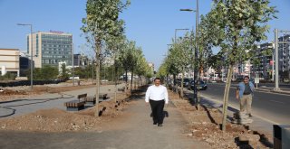 Yeşil Kuşak Projesinde sona gelindi