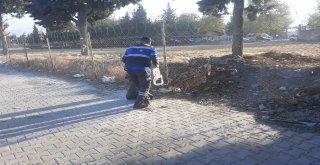 BÜYÜKŞEHİR'DEN ÇEVRE TEMİZLİĞİ