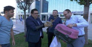 BÜYÜKŞEHİR'İN SEVİMLİ ZİYARETÇİSİ