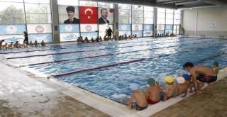 YÜZME KURSLARI BAŞLADI