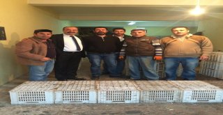 TÜRKYILMAZ, ZEYTİN ÜRETİCİSİYLE BULUŞTU