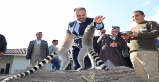 Hayvanat bahçesi 20 yaşında