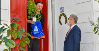 ÜSKÜDAR’IN HANIM SULTANLARINA 5 BİN MOR SALKIM FİDANI DAĞILTILDI
