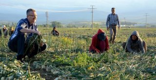 Özkan, Dünya Çiftçiler Günü'nü kutladı