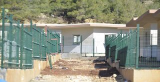 Ateş ve Rüzgar?ın Kurtarılma Hikayesi