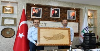 Başkan Şahin’den Ünye ve Fatsa’ya Geçmiş Olsun Ziyareti