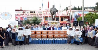 Çamlıyayla Arıcılarına Büyükşehirden Destek