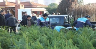 Ücretsiz fidana vatandaştan büyük ilgi