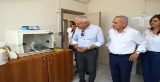 Vali Yardımcısı Ünsal  Hayvan Bakım Merkezi’ni denetledi