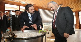 Dağ köyünden Katar Sarayı'na ipek halı