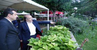 Meydan Parkı'ndan sonra sıra Fatih Parkı'na geldi