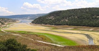 KAMUOYUNUN DİKKATİNE