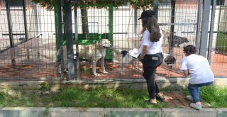 Sevgi Evlerinde Kalan Çocuklardan Can Dostlarına Ziyaret
