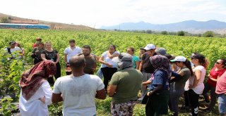 GENÇLER ÜRETİM KAMPI İLE KIRSAL YAŞAMDAKİ ÜRETİME DAHİL OLDULAR