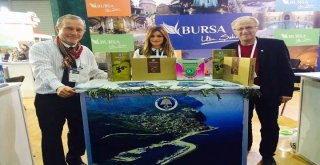 MUDANYA'NIN EN BÜYÜK HEDEFİ TURİZMLE KALKINMA