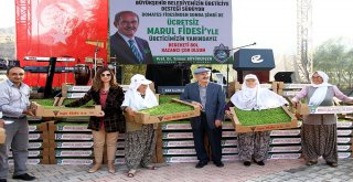 BÜYÜKŞEHİR'DEN ÇİFTÇİYE 2.5 MİLYON MARUL FİDESİ